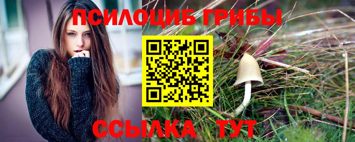 Псилоцибиновые грибы MAGIC MUSHROOMS  Вход с VPN  Кувандык  Псилоцибиновые грибы мицелий 